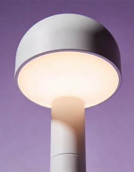 Decorative Wall Ambient Light